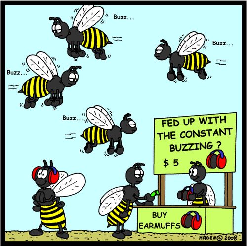 Buy Earmuffs!