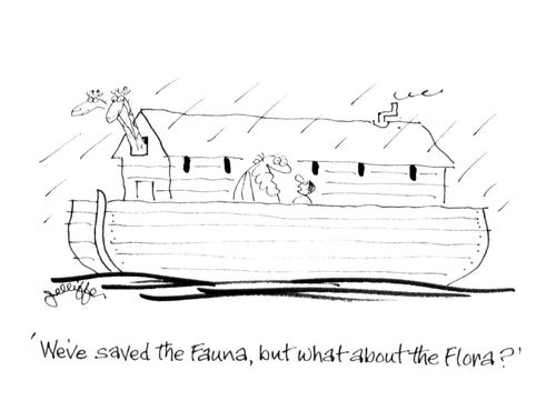 'We've saved the Fauna, but what about the Flora?'