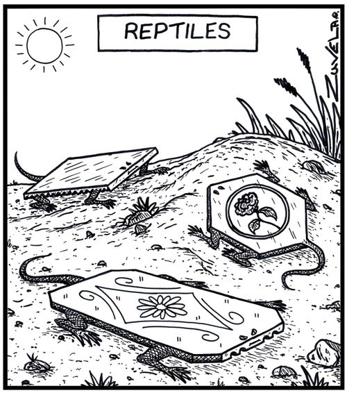 Reptiles lizards in the form of tiles basking in the sun.
