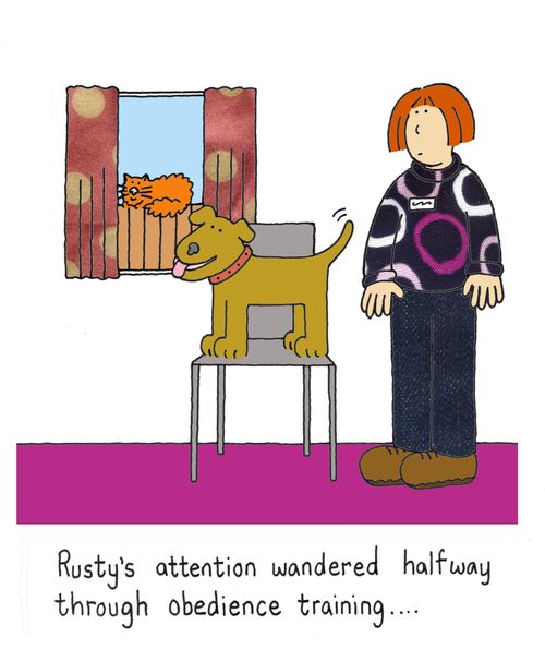 Rusty's attention wandered halfway through obedience training.