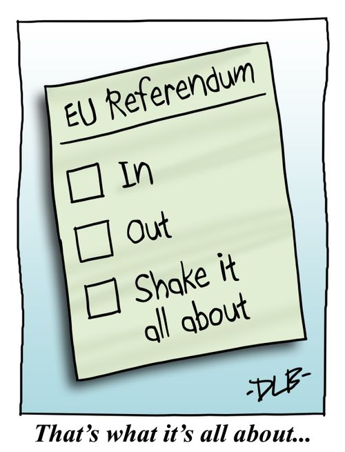 EU Referendum: In, Out, Shake it all about.