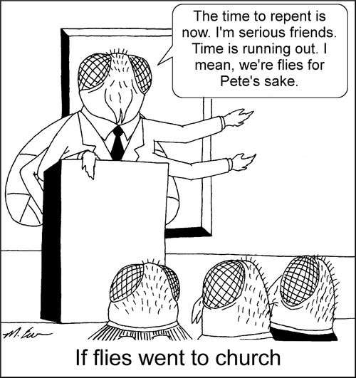 If flies went to church