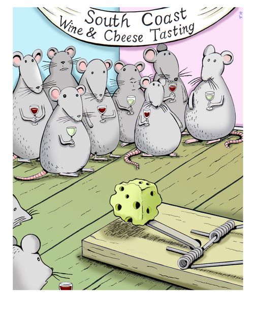 Slight dilemma in tasting the cheese.