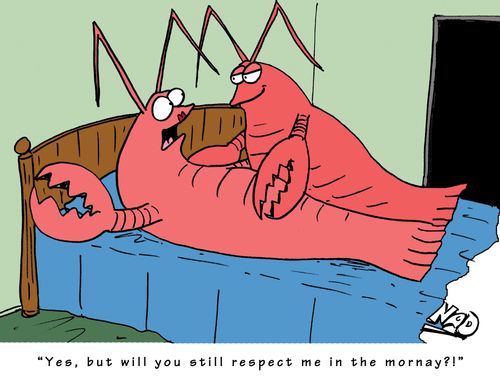 'Yes, but will you still respect me in the mornay?!'