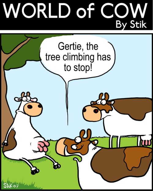 Gertie, the tree climbing has to stop!