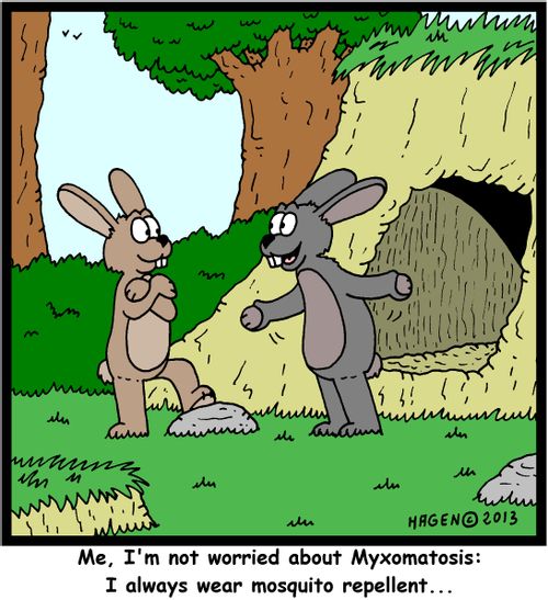 'Me, I'm not worried about Myxomatosis: I always wear mosquito repellent...'