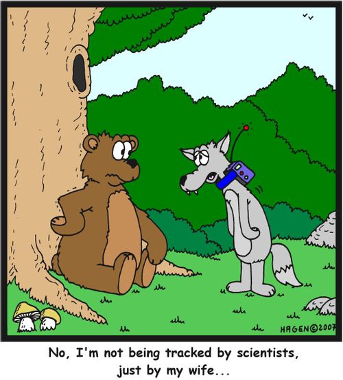 'No, I'm not being tracked by scientists, just by my wife...'