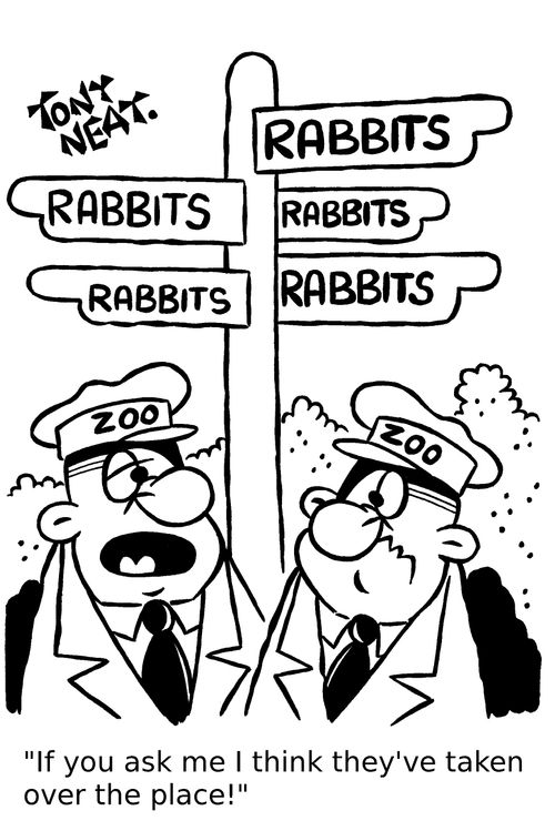 'If you ask me I think they've taken over the place!'