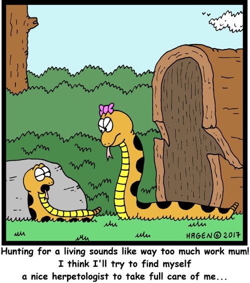 "Hunting for a living sounds like way too much work mum! I think I'll try to find myself a nice herpetologist to take full care of me..."