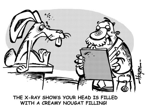 'The X-ray shows your head is filled with a creamy nougat filling!'
