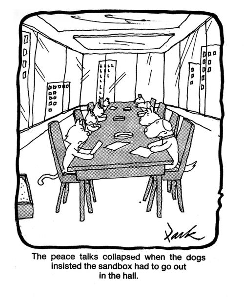 The peace talks collapsed when the dogs insisted the sandbox had to go out in the hall.