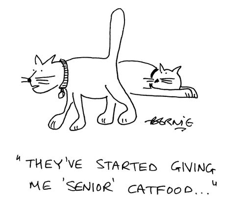 'They've started giving me 'senior' cat food...'