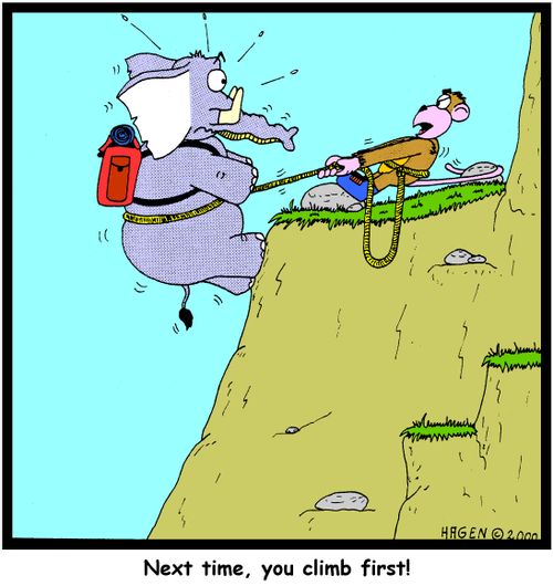 'Next time, you climb first!'