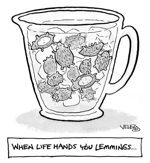 'When life hands you lemmings...'
