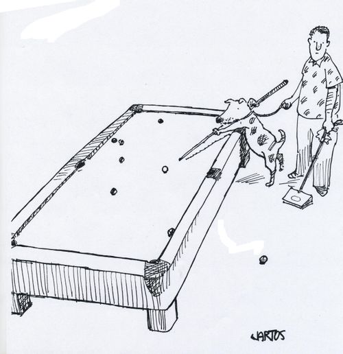 Dog playing snooker/pool.