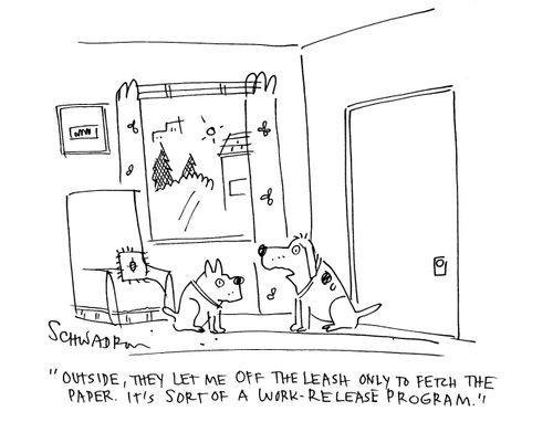 'Outside, they let me off the leash only to fetch the paper. It's sort of a work-release program.'