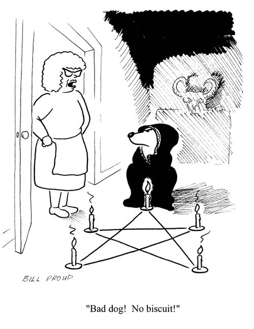 'Bad dog!  No biscuit!'
