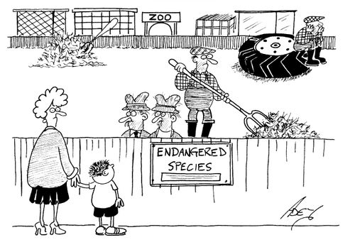 Endangered Species