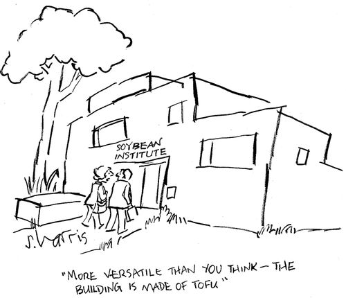 'More versatile than you think - the building is made of tofu.'