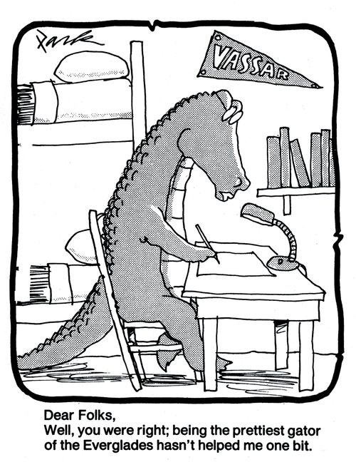 'Dear Folks, Well, you were right; being the prettiest gator of the Everglades hasn't helped me one bit.'