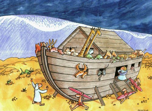 Noah's crew preparing to surf