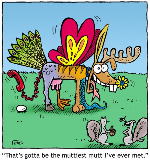'That's gotta be the muttiest mutt I've ever met.'
