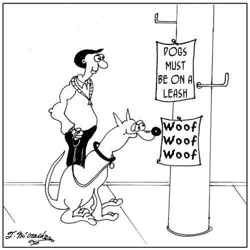 Dogs Must Be On A Leash.
