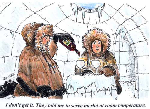 'I don't get it. They told me to serve merlot at room temperature.'