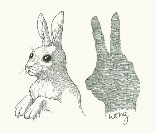 Rabbit Shadow