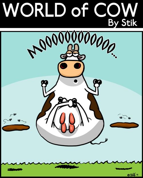 Yoga Cow