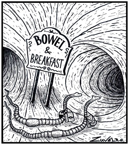 Bowel & Breakfast.