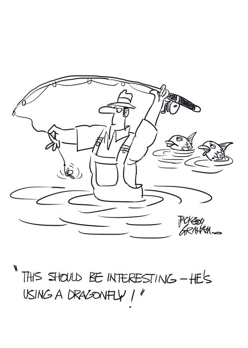 "This should be interesting, he's using a dragonfly!"