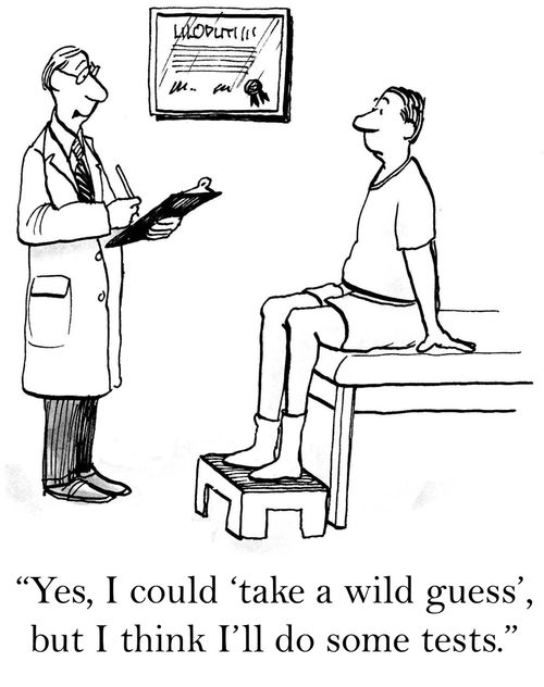 'Yes, I could 'take a wild guess', but I think I'll do some tests.'