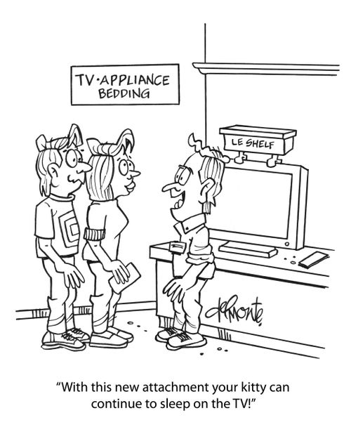 "With this new attachment your kitty can continue to sleep on the TV!"
