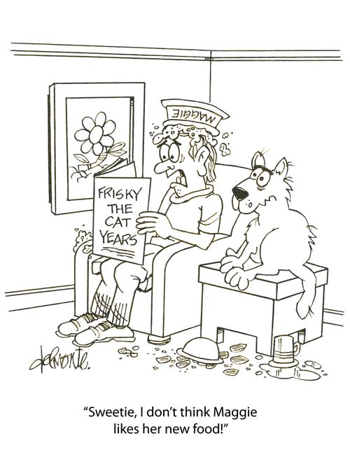 'Sweetie, I don't think Maggie like her new food!'