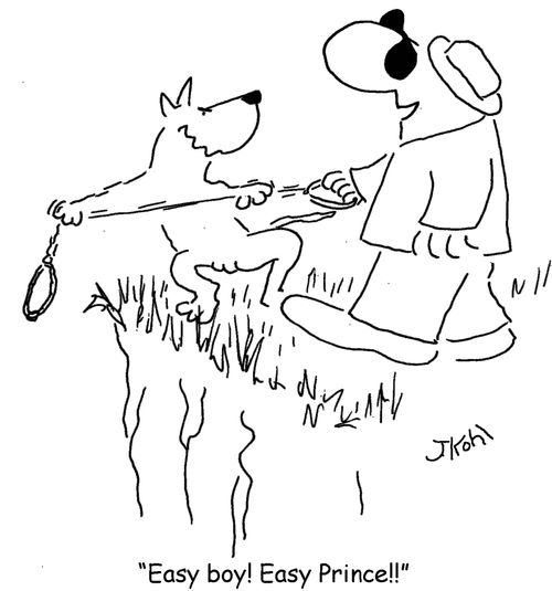 'Easy boy! Easy Prince!!'