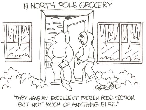 'They have an excellent frozen food section, but not much of anything else.'