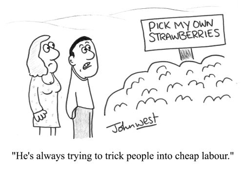 'He's always trying to trick people into cheap labour.'