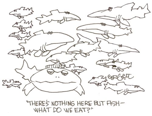 'There's nothing here but fish - what do we eat?' 