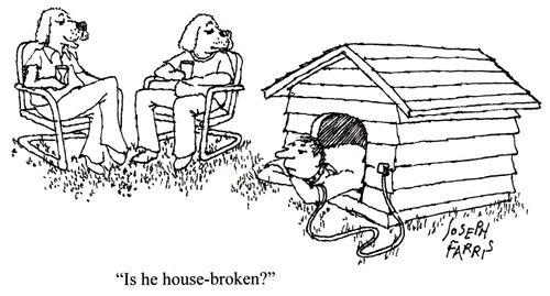 'Is he house-broken?'