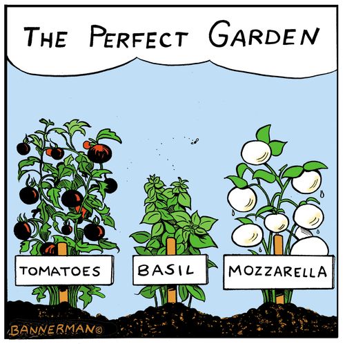 The Perfect Garden.