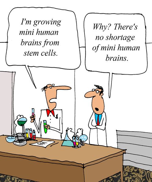 'I'm growing mini human brains from stem cells.'