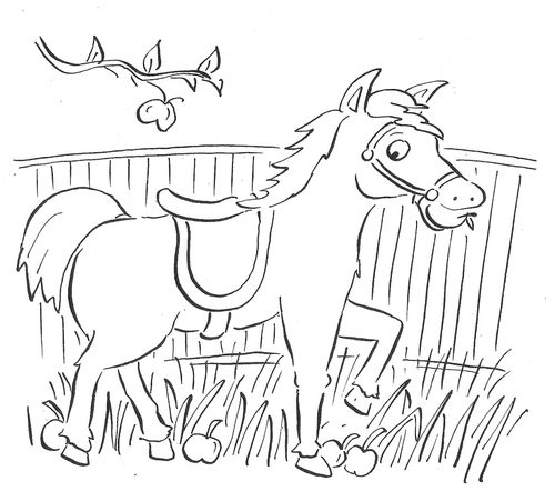 Horse