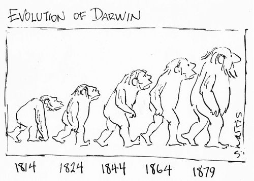 'Evolution of Darwin.'