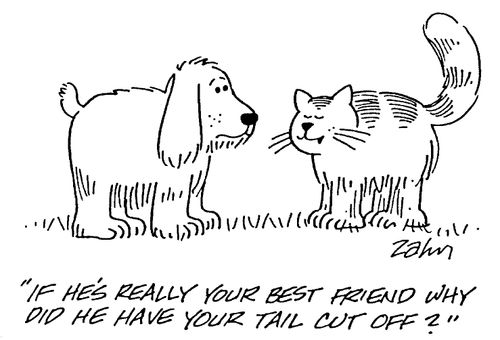 "If he's really your best friend, why did he have your tail cut off?"
