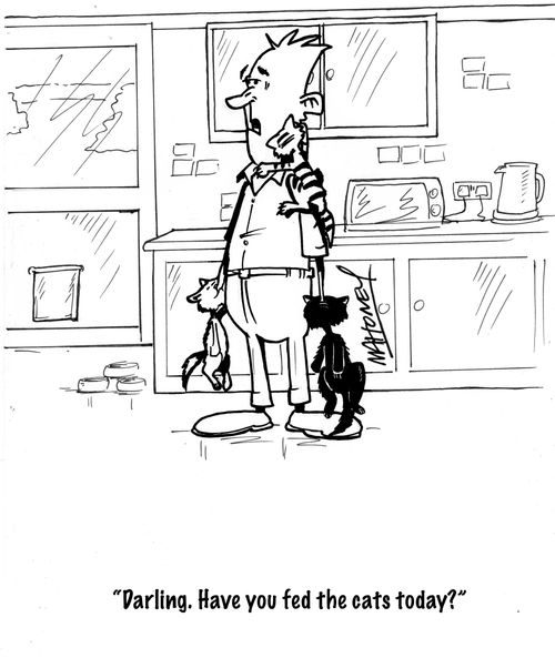 'Darling. Have you fed the cats today?'