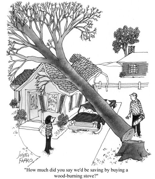 'How much did you say we'd be saving by buying a wood-burning stove?'