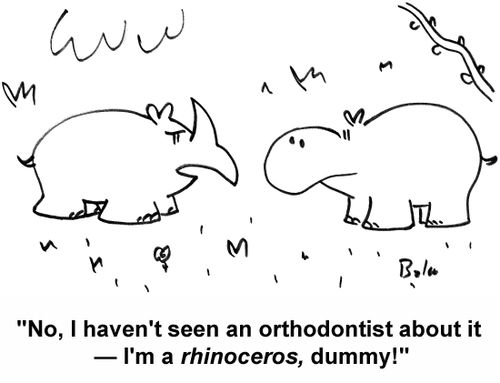 'No, I haven't seen an orthodontist about it — I'm a rhinoceros, dummy!'