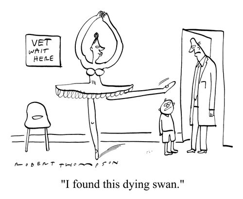 "I found this dying swan."