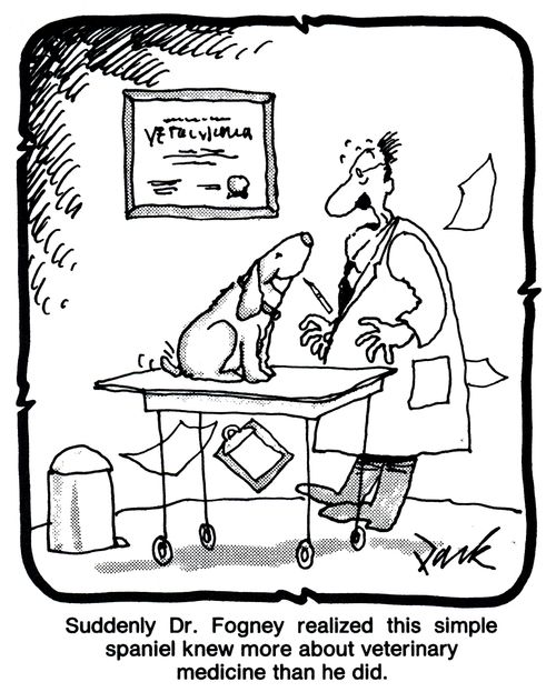 Suddenly Dr. Fogney realized this simple spaniel knew more about veterinary medicine than he did.'